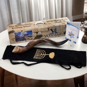Set di Shofar Kudu naturale da Israele: include borsa, spray e guida