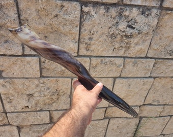 Shofar FeMal Eland Horn XL 20"- 22" Straight Line Measured Polished New From Israel