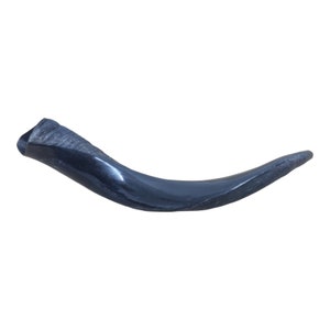 Shofar Half Polished Kudu Horn - Mini Size 16-19&quot; (40-48cm) - Yemenite Style