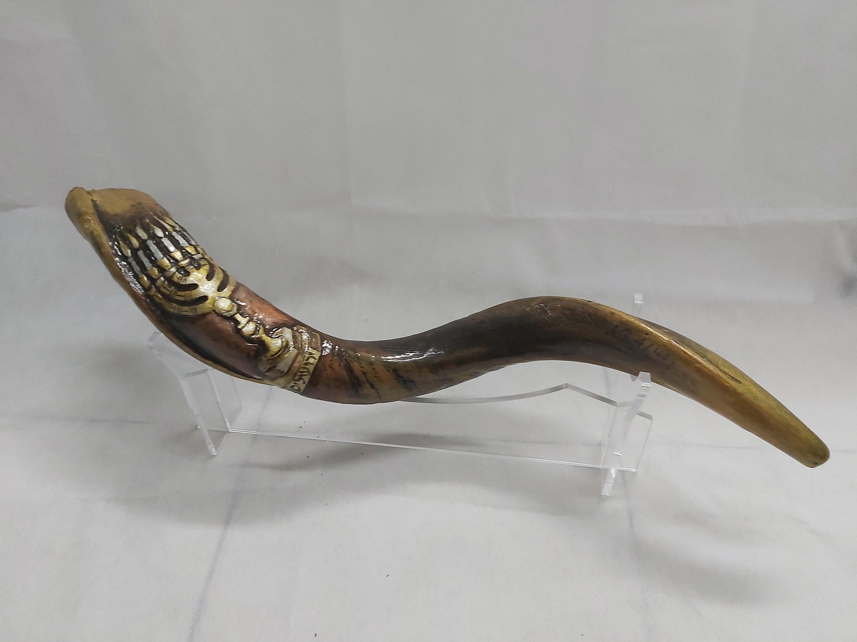 Amazing Engraved Carved Paint Yemenite Kudu Horn Shofar the Etsy