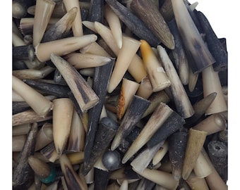 Natural Kudu Horn Tips | Genuine Antelope Craft Supply for Jewelry, Knives