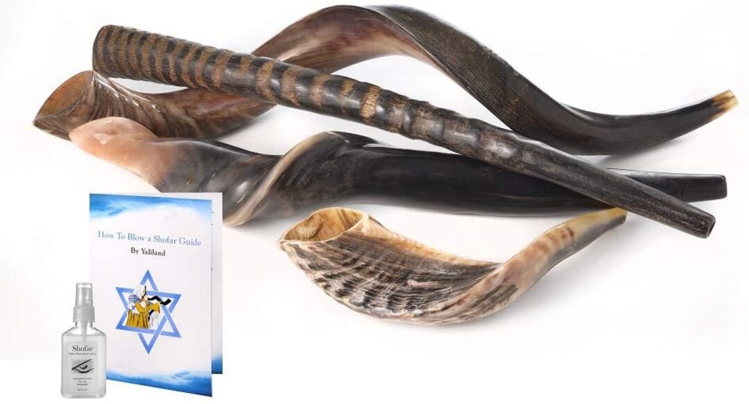Venta 4 Shofars Shofar Kudu Yemenita RAM Gemsbok Oryx Horn Etsy España