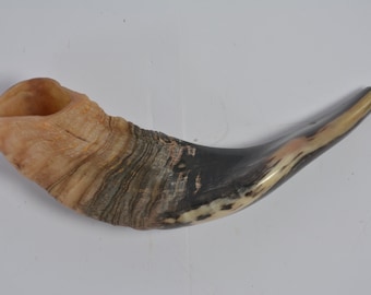Polished Ram's Horn Shofar: Authentic Judaica, Made in Israel