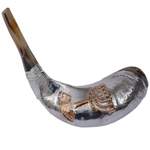 Silver Plated Ram Horn Shofar with Menorah Design, 12-14&quot; (30-36cm), Handmade in Israel