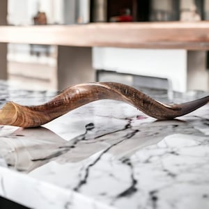 Shofar Kudu Horn FULL Natural 80-85Cm ( 32 Inch - 34 Inch) + Free Anti Odor Spray + guide