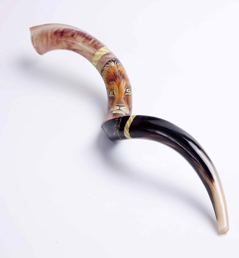 Jesish Instruments Extra Large Lion of Judah Kudu Shofar (40-42
