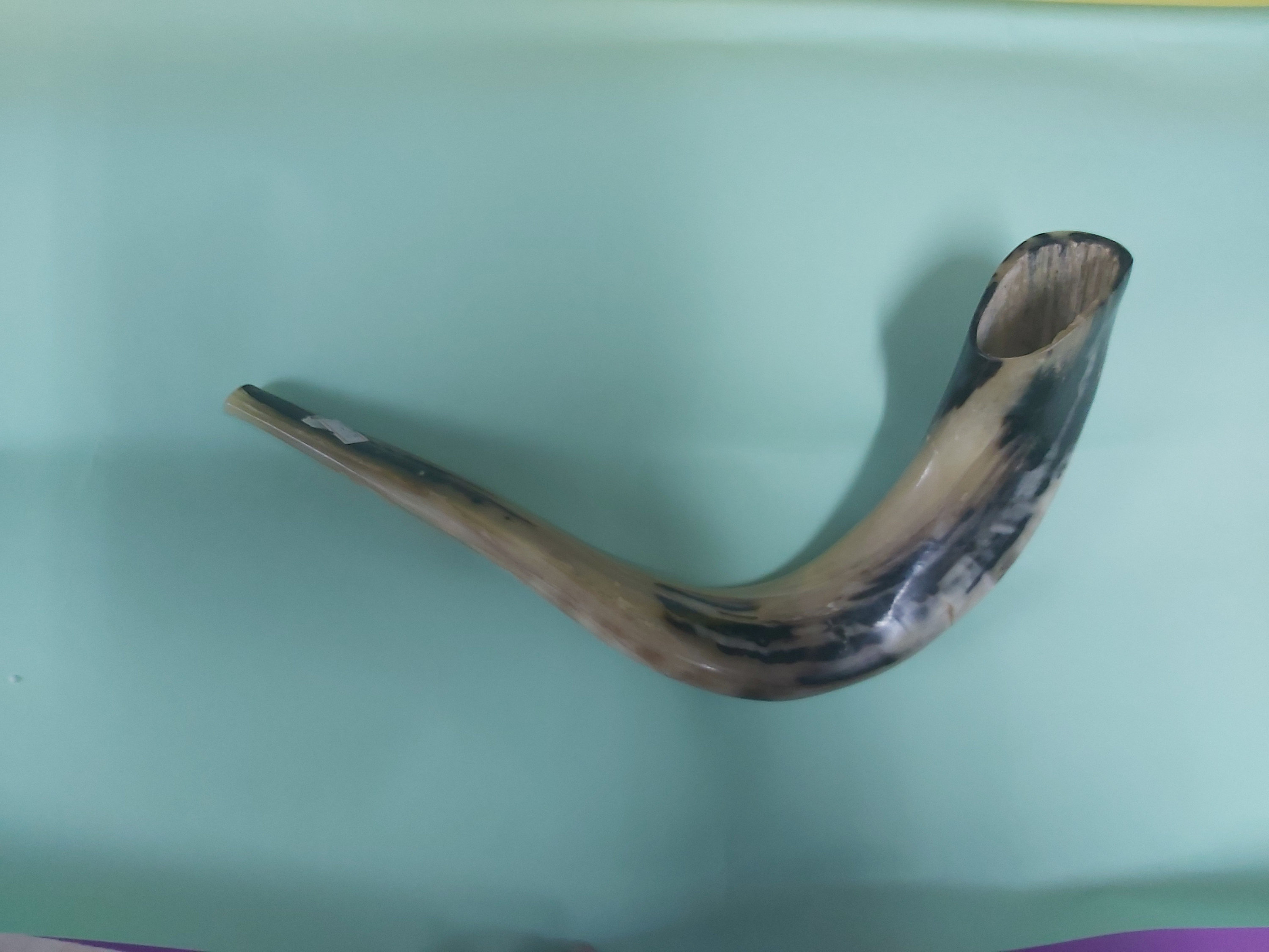 Ram Horn Shofar Trumpet From Israel Polished Koѕhеr Etsy UK