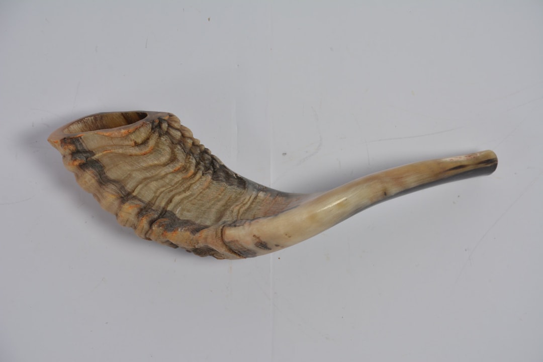 Shofar Corno Di Ariete Kosher Naturale, 25-28 Cm - Prodotto A Mano In Israele, Suono Chiaro, Perfetto Per Tradizioni E Cerimonie