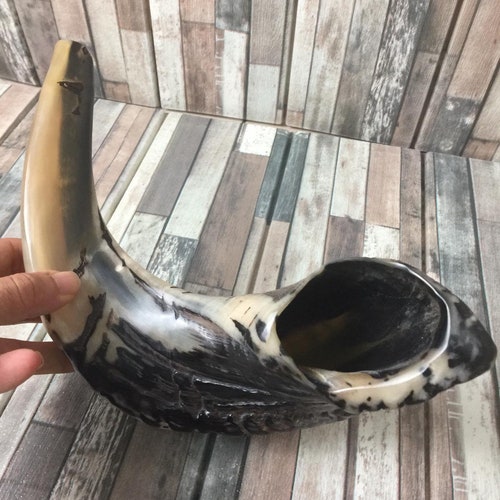 Ram Horn Shofar Trumpet From Israel Wooden Stand Polished Etsy