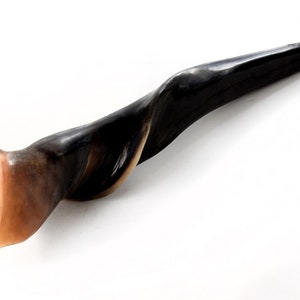 Shofar Male Eland XL Horn - 20 + &quot;Gerade Linie Gemessen Poliert Neu Erstaunlich frei Geruch Spry und Anleitung