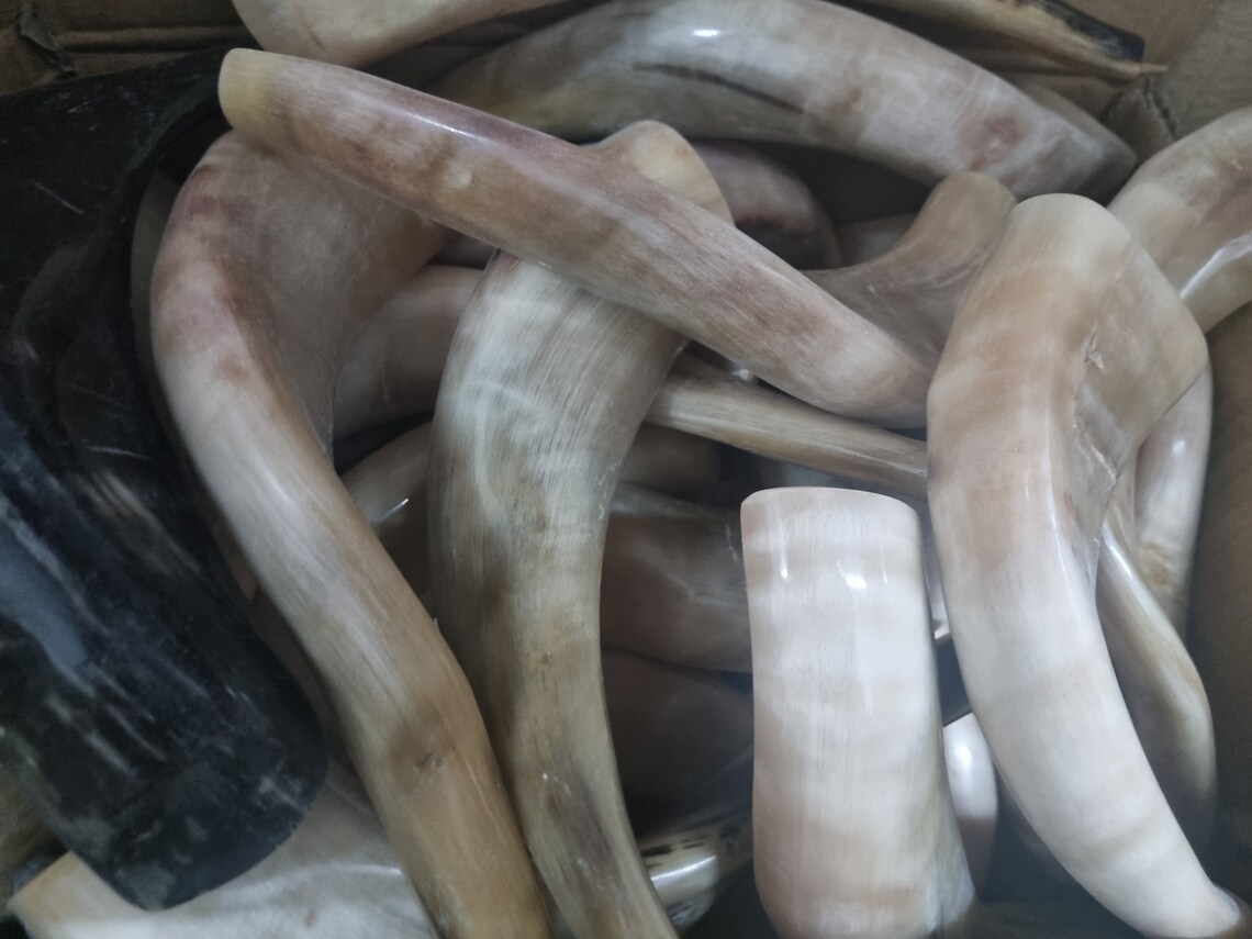 Ram Horn Shofar Rams Trumpet From Israel Polished Koѕhеr Etsy