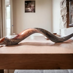 Authentic Half-Polished Kudu Shofar from Israel | Yemenite Judaica Horn | 28&quot;-30&quot; | Easy to Blow & Scent-Free