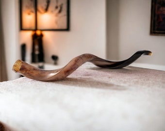 45" Polished Yemenite Kudu Shofar: Kosher Ceremonial Horn, Easy Blow