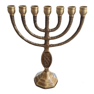 Grafted In Graftitin Messianic Brass Copper Menorah 8.25" Judaica Israel 7 Candle Holder