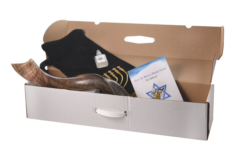 Kudu Horn Shofar Full Natural Yemenite Bag Odor Spray Etsy