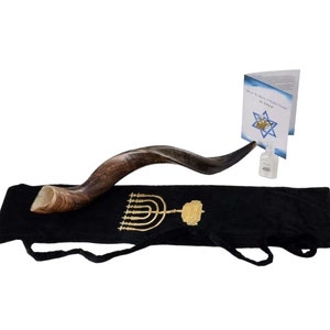 Large Natural Kudu Shofar Set: Expert Sound Tested, Kosher Israel Made