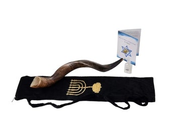 Shofar Horn Kudu Jewish Judaica 100% Natural 85-95 cm Kosher Extra Large GenuineYemenite  from Israel