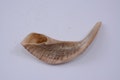Shofar Kosher Rams Blow Horn Horns Ram Natural Made in Israel Judaica product logo