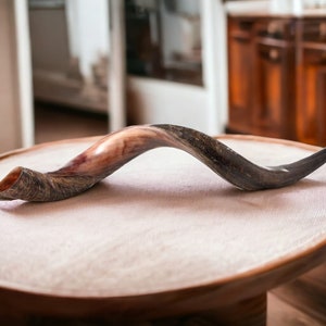 May include: A brown and black shofar, a traditional Jewish ceremonial horn, sits on a round wooden table with a light brown surface.
