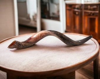 コーシャ羊の角笛ショファー：イスラエル産の本物のユダヤ教儀式用角笛