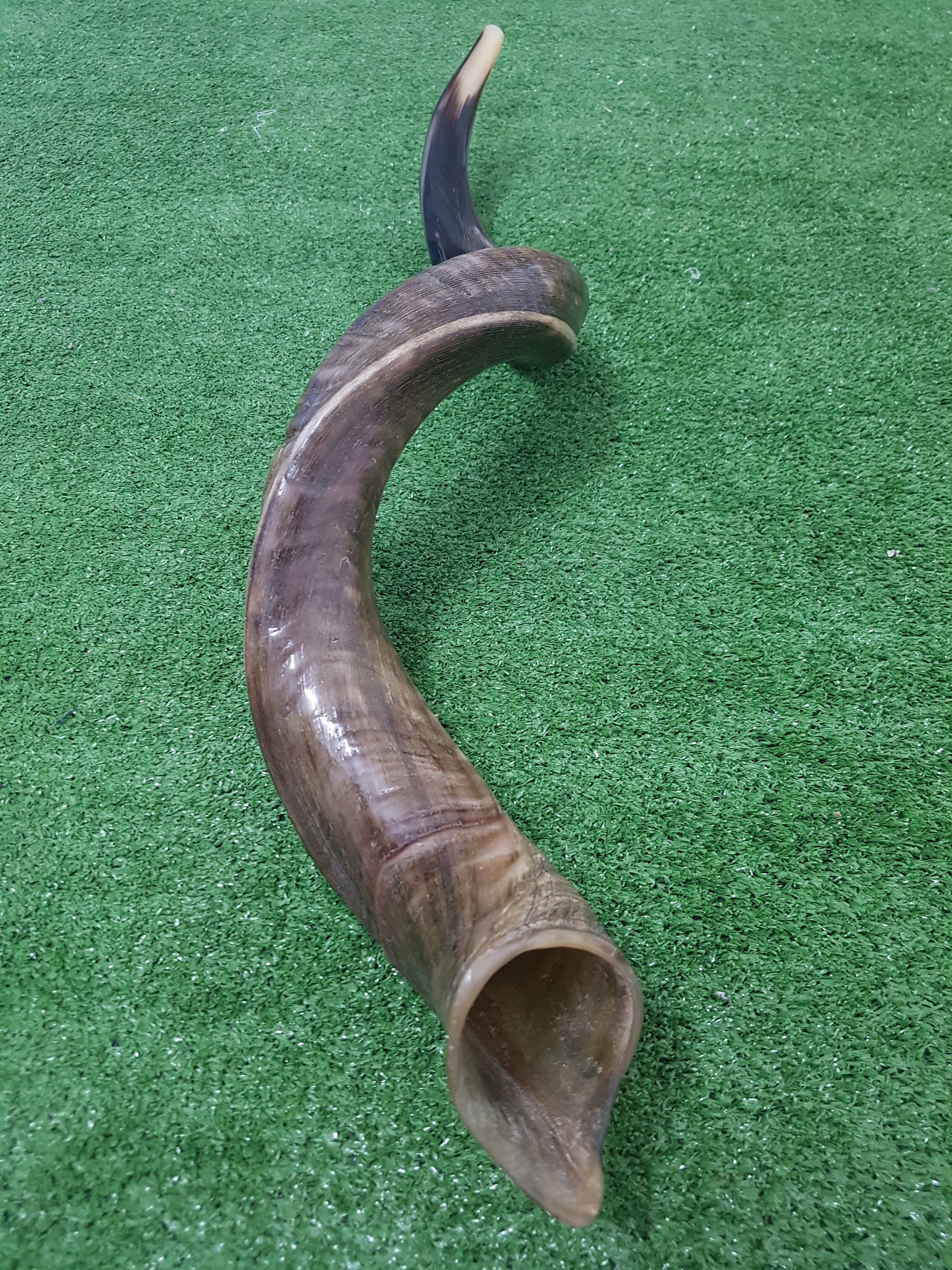 Kudu horn african instrument outlet