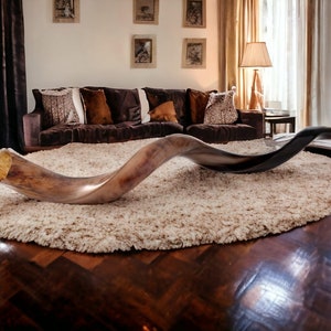 Puede incluir: Una mesa de centro de madera curvada con un acabado marrón oscuro se encuentra sobre una alfombra de pelo blanco en una sala de estar. La mesa tiene forma de cuerno y tiene una veta de madera natural.