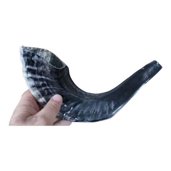 thumbnail image 2 of Authentic Ram Shofar From Israel - 10-12" Kosher Horn With Free Bag, Handmade In Holy Land 2 of 11