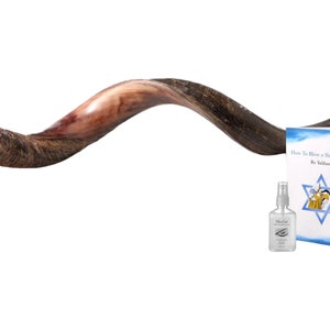 Authentic Kudu Shofar Horn from Israel: Half Polished Yemenite Style