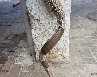 May include: A silver and gold shofar with a menorah design. The shofar is made from a brown ram's horn and is decorated with intricate details.