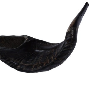 Kosher Black Polished Ram&#39;s Horn Shofar | Authentic Israeli Judaica | Choose Your Size