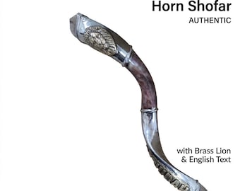 Silver-Plated Kudu Shofar, Lion of Judah Relief, Messianic Judaica (36-40")