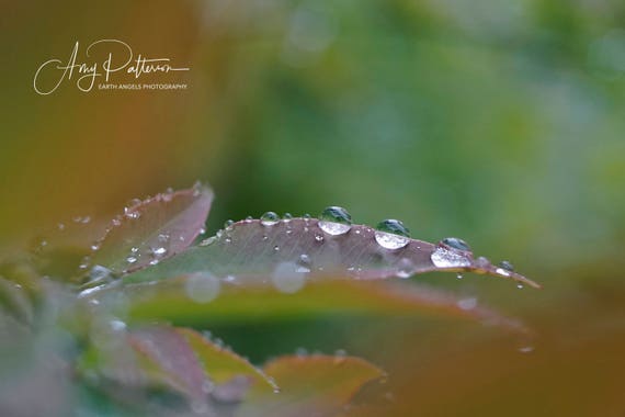 Rain Drops Art Water Drop Photography Fine Art Macro Water Etsy