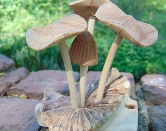 Small parasite wood magic mushroom carving Handmade wooden ornament Fair H10cm