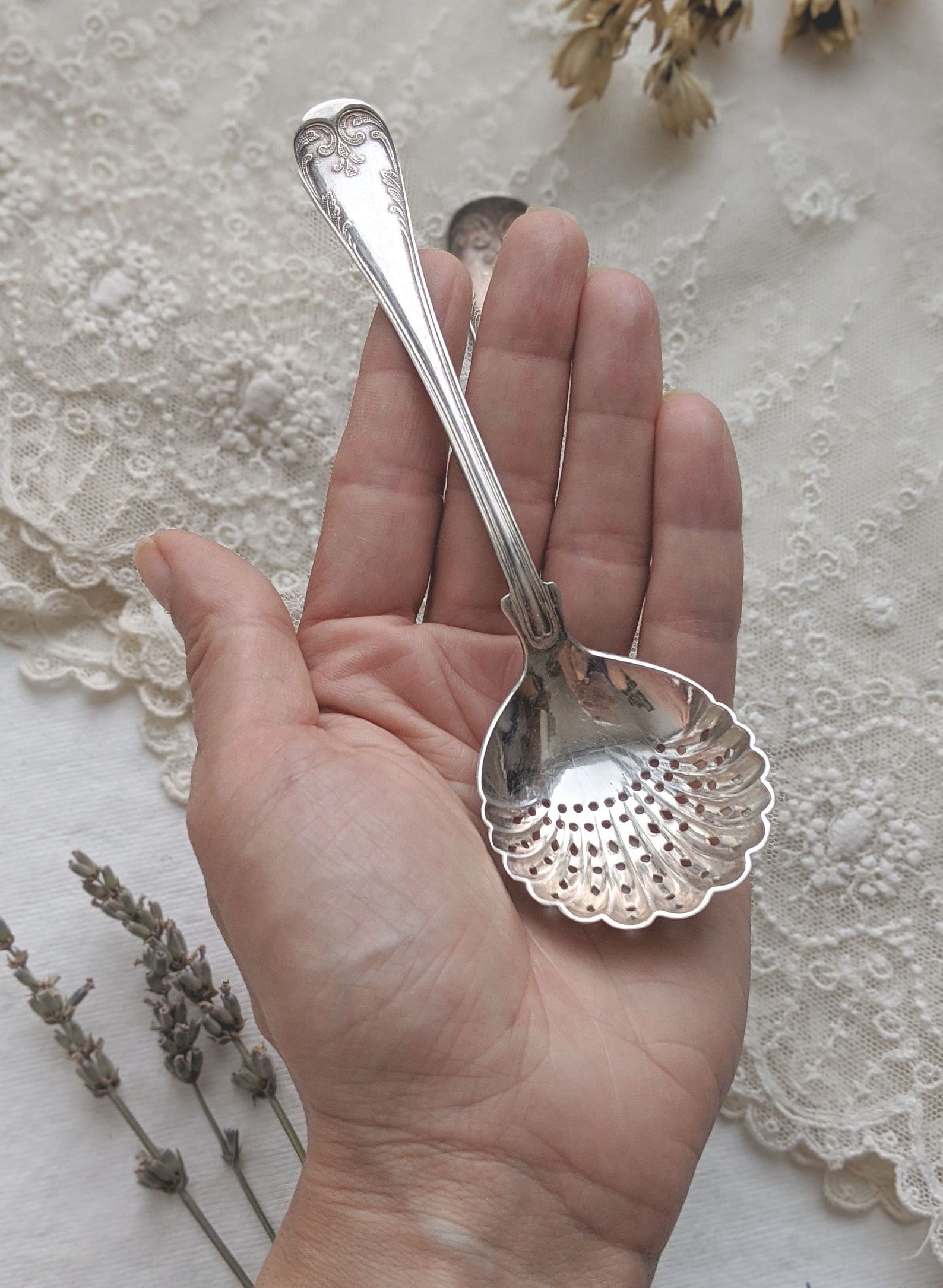 Antique Set of Two Sugar Sifter Spoon. Artkrupp Berndorf Spoon. Antique