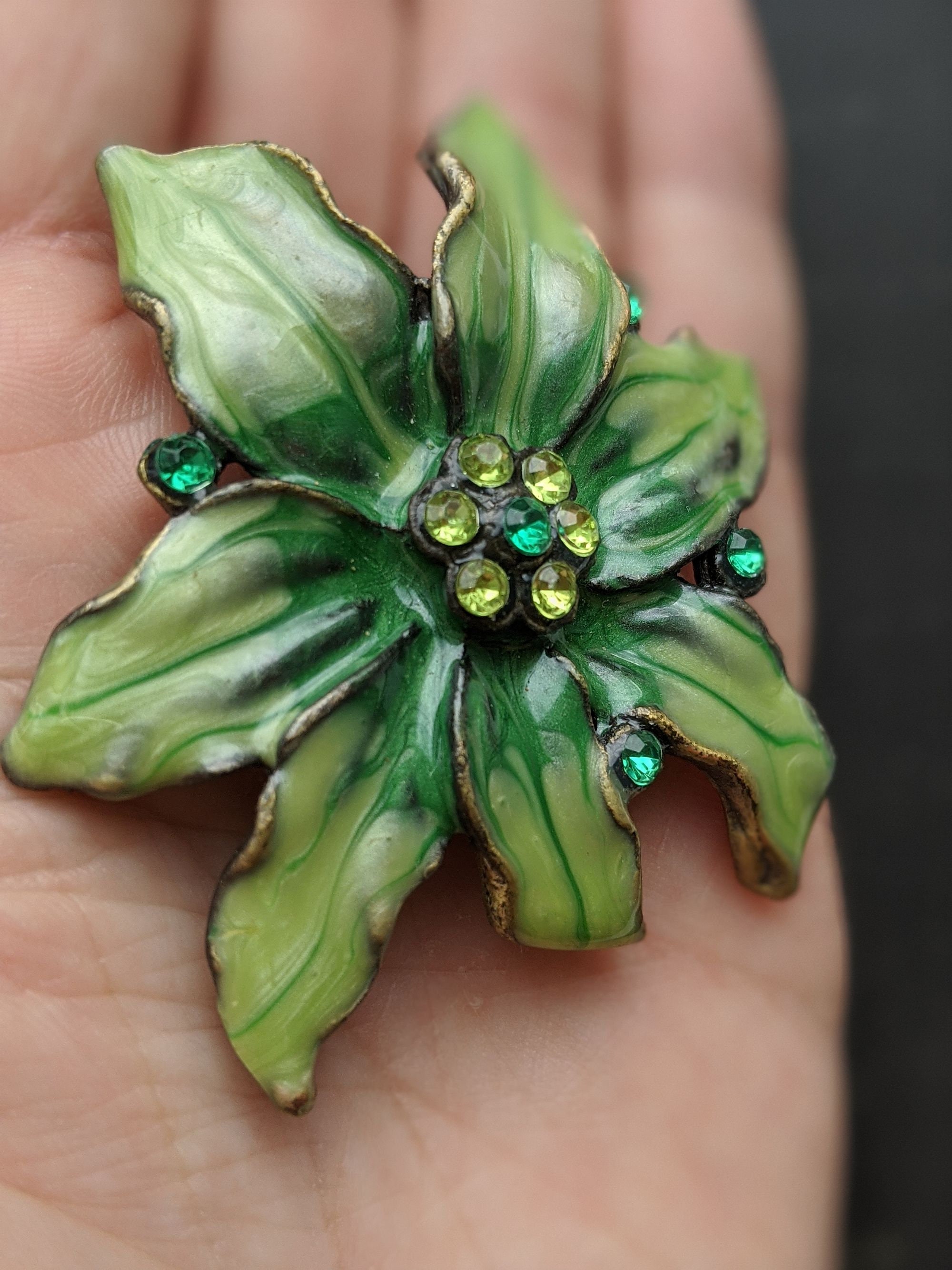 Belle Broche Vintage En Celluloïd - Motif Fleurs D'Edelweiss, Parfaite Pour Une Touche Rétro