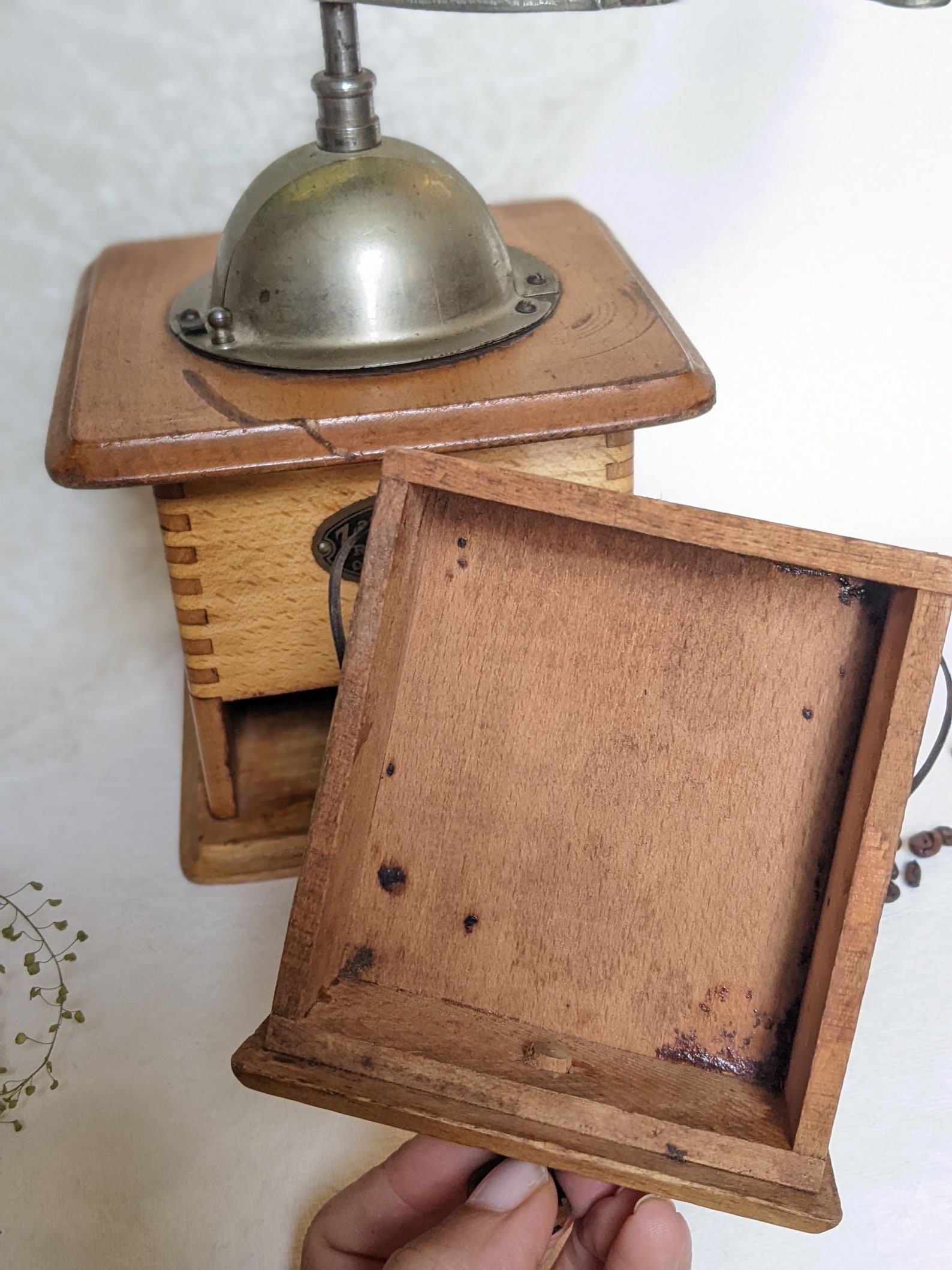 Antique Zassenhaus Coffee Grinder. Zassenhaus 19201930s German Manual