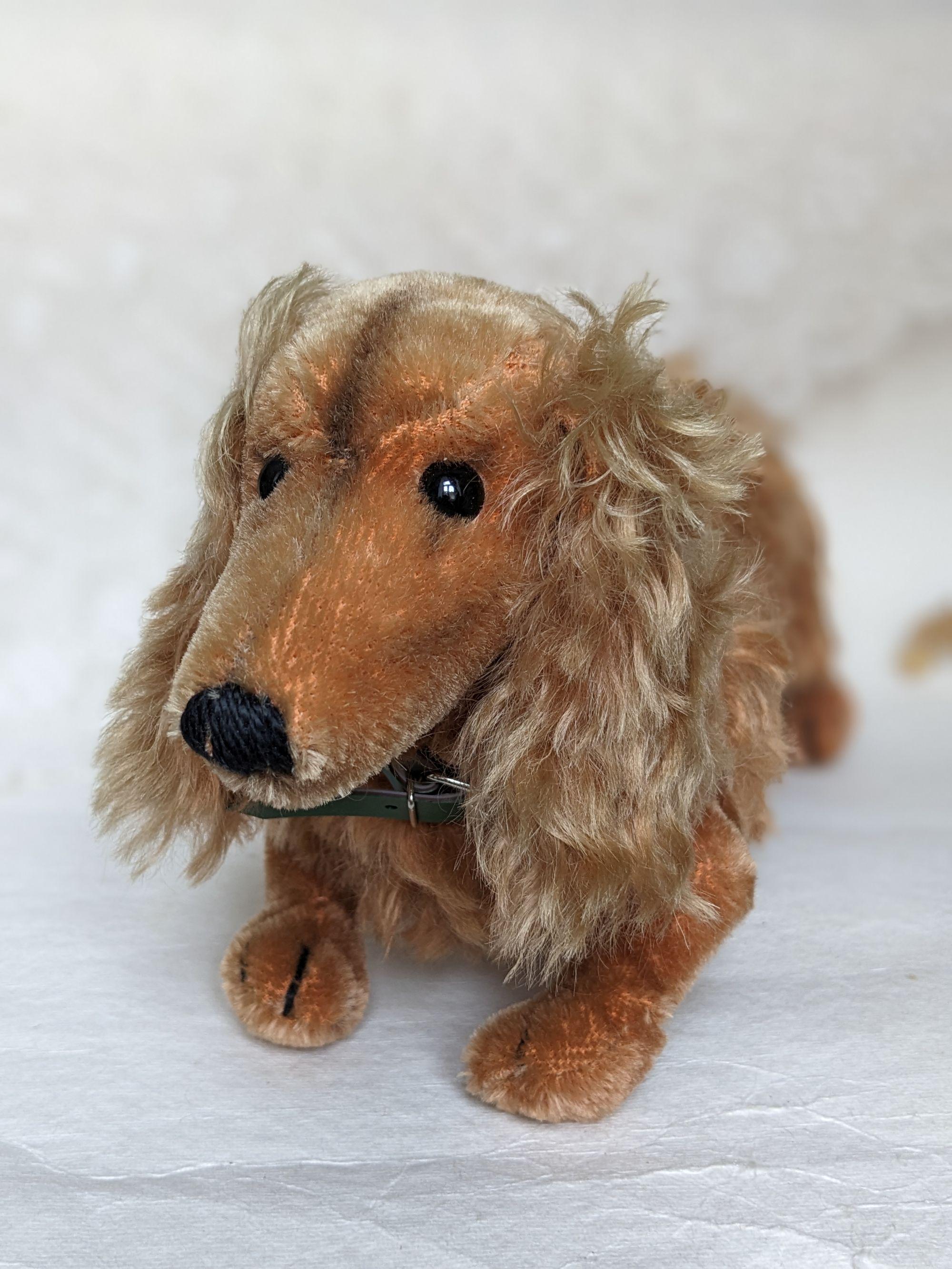 Steiff waldi - Etsy 日本