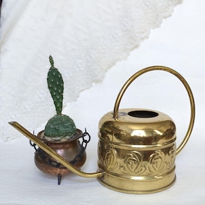 May include: A small cactus in a copper pot with a chain and three legs, next to a brass watering can. The watering can has a curved spout and handle, with decorative floral patterns around the base. The cactus is green.
