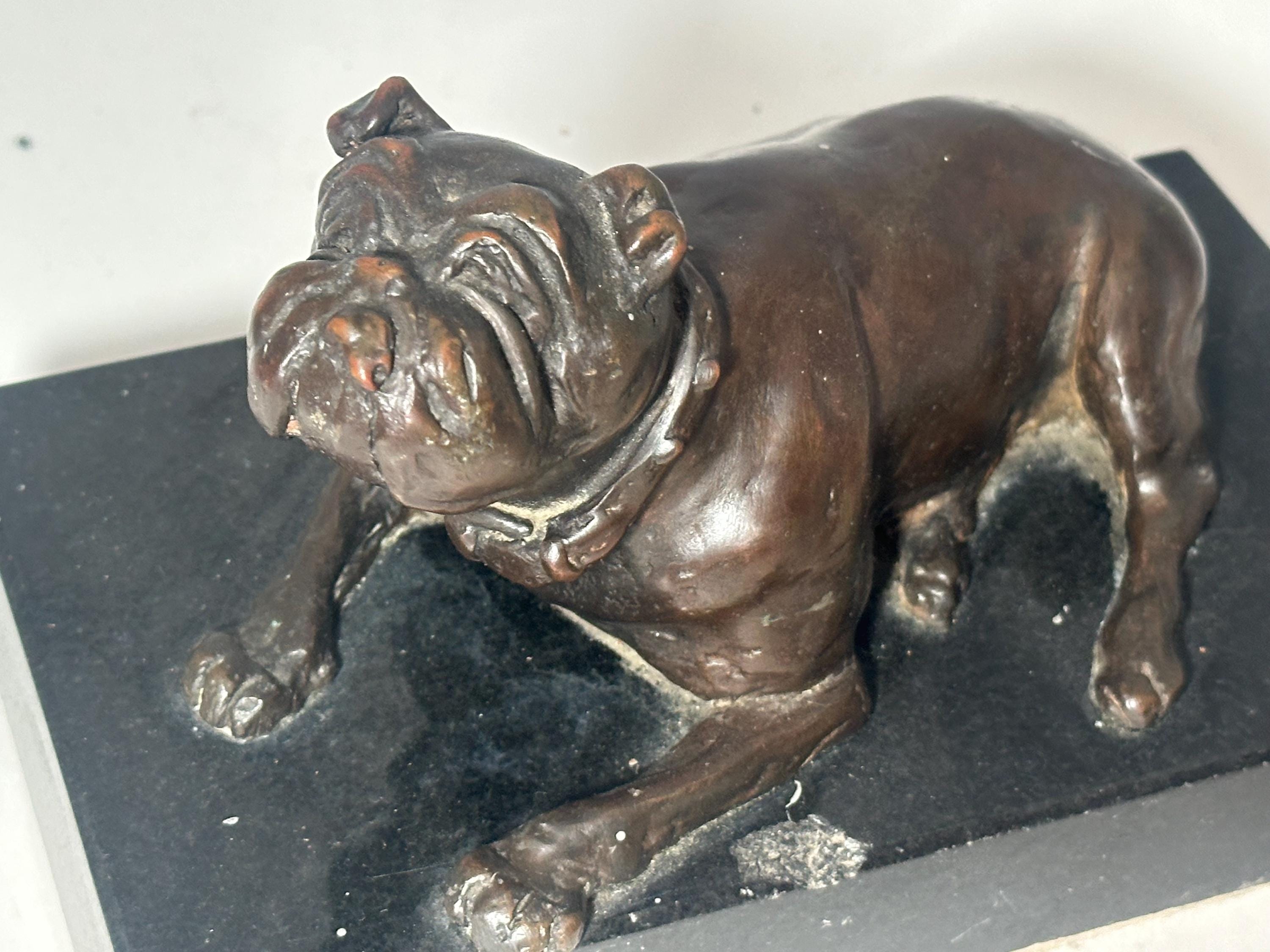 Vintage Bulldog Chalkware - Etsy Canada