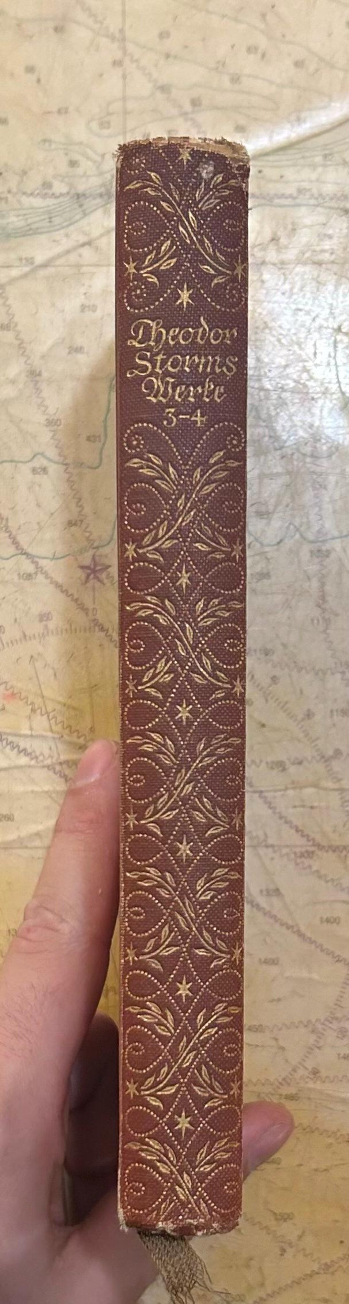 Theodor Storm Sämtliche Werke, 1921: Antique German Book on Literary Realism, photo 2 of 5