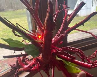 The heart of the tree flame bulb night light