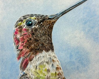 Hummingbird Original Colored Pencil Drawing