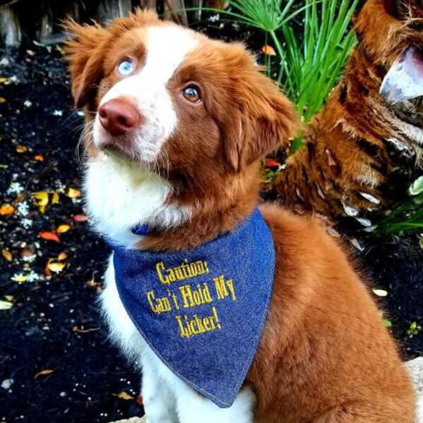 Perro Bandana / Denim / Bordado / Perro Bandanna / Mascota / Regalo / No puedo sostener mi Licker / Azul Jean Bandanna