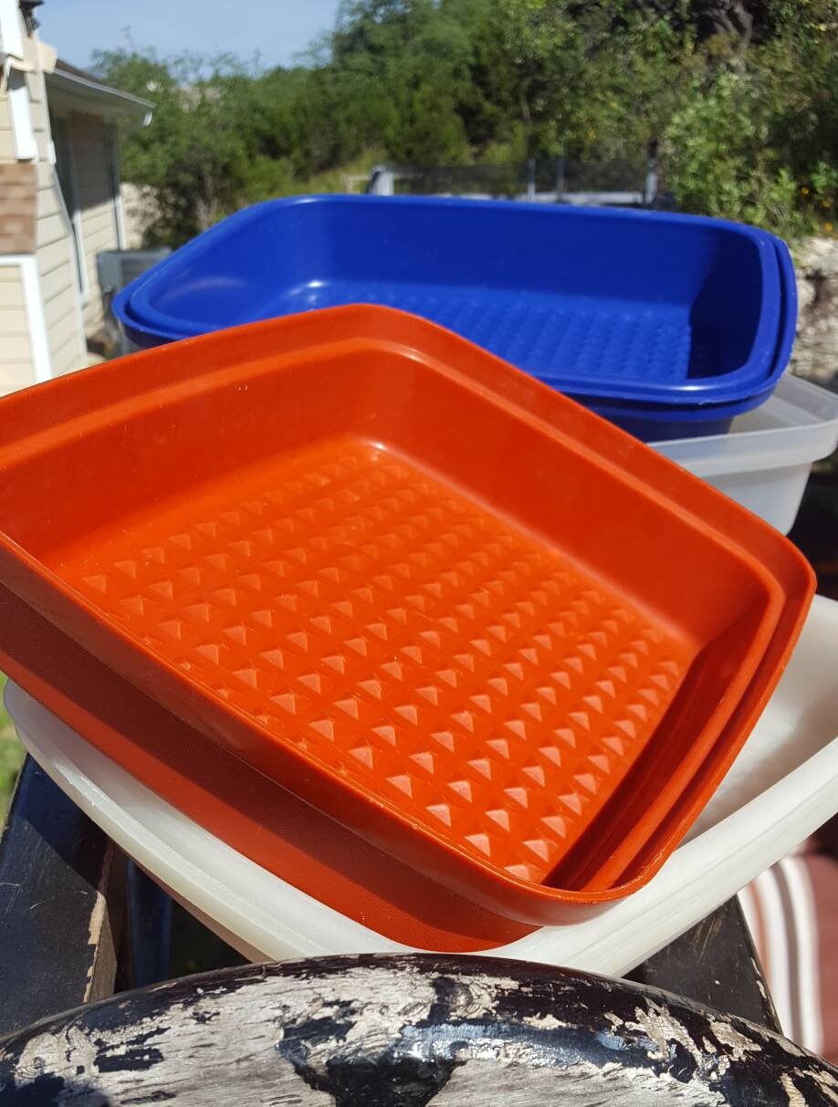 Vintage Tupperware Season Serve Marinate / Tenderizer Containers / Blue /  Paprika / Kitchen Storage / BBQ / Food Storage / Camping / RV