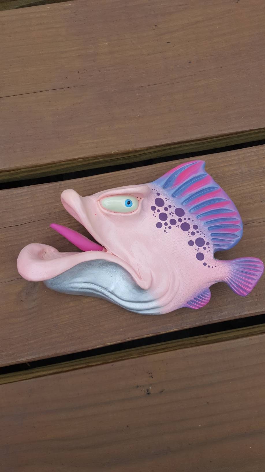 Unidentified Angelfish | Reef2Reef, image size:918x1632