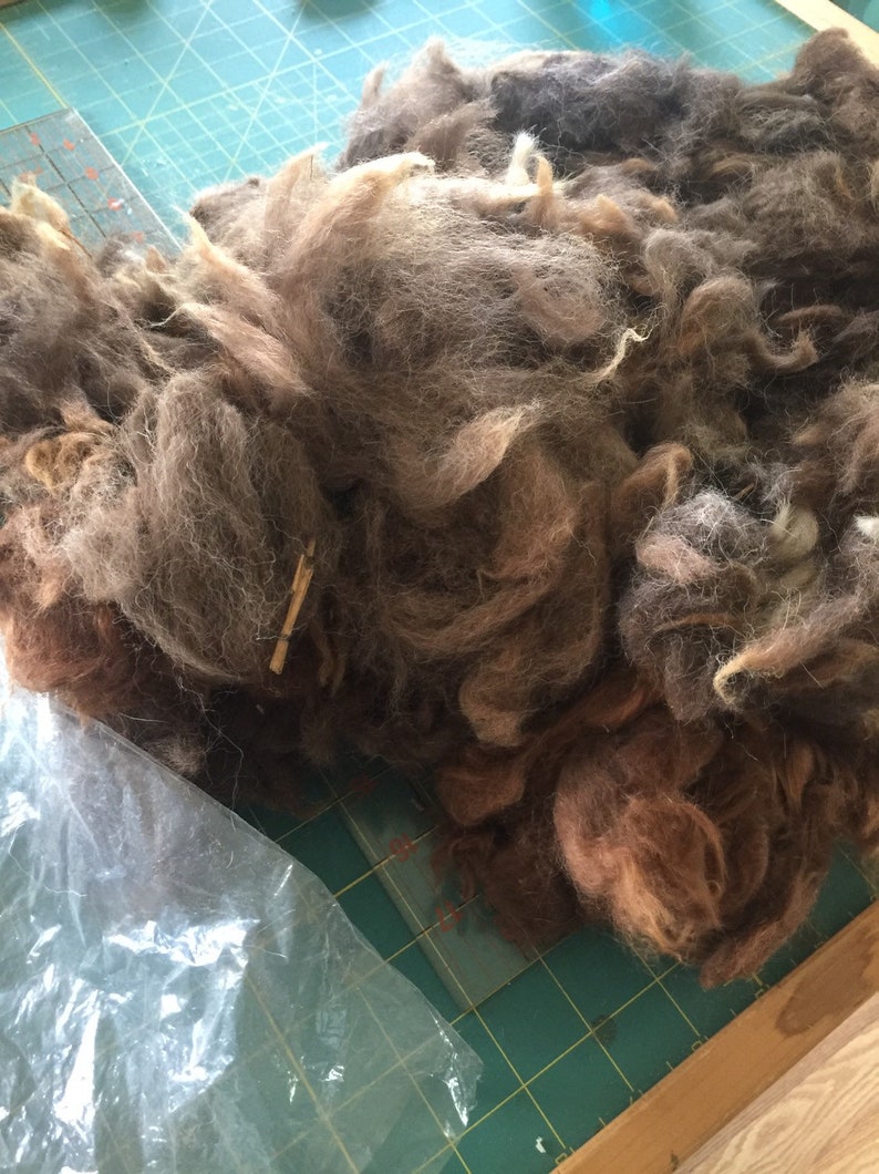 RAW Unprocessed Mixed SHEEP WOOL Brown Black Grey Assorted 8 oz bag