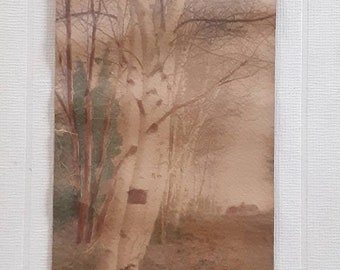 Fred Thompson (1906) Signed BIRCH ROAD Antique Hand Tinted Colored Photo