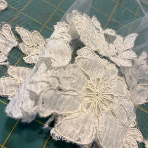 May include: An off-white lace applique featuring intricate floral and leaf patterns attached to a sheer, fine-mesh tulle fabric. The lace design displays detailed embroidery with scalloped edges and delicate thread work throughout the textile.