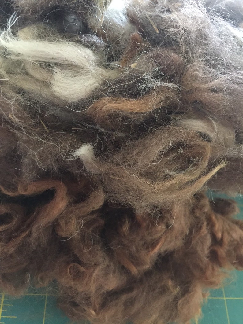 RAW Unprocessed Mixed SHEEP WOOL Brown Black Grey Assorted 8 oz bag