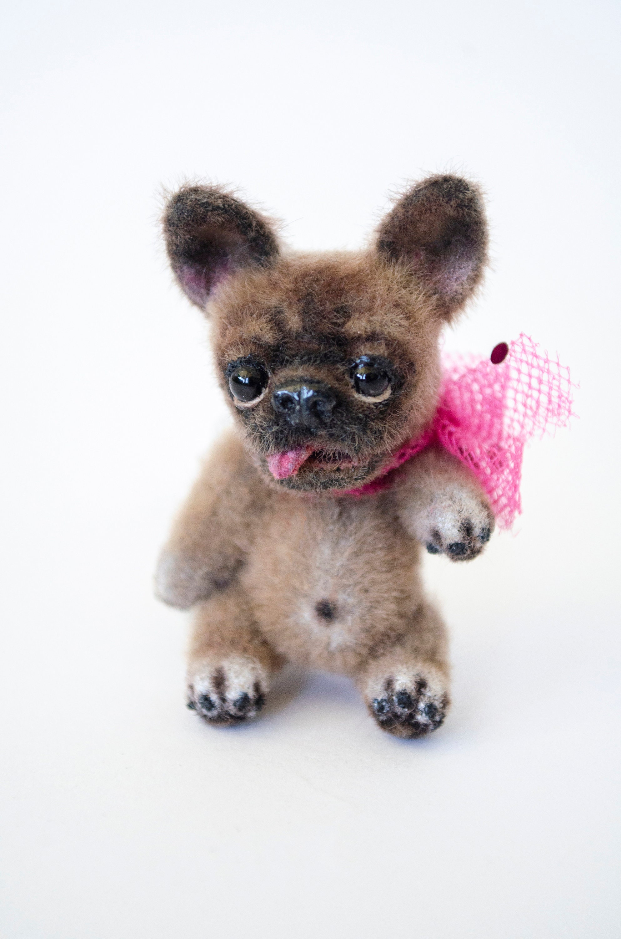miniature teddy bear dog